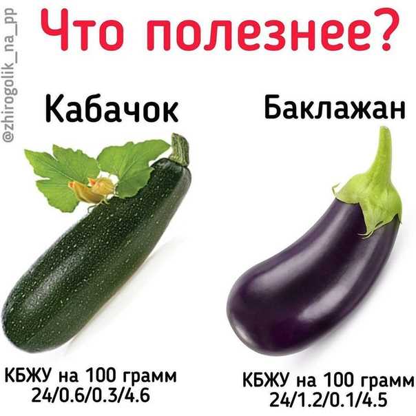 Какой состав у кабачка?