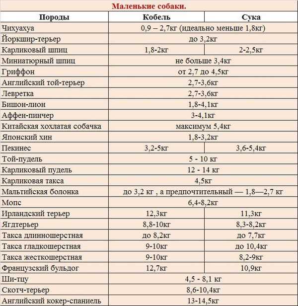 Средние породы собак