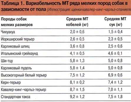 Как определить, что собака имеет средний вес?