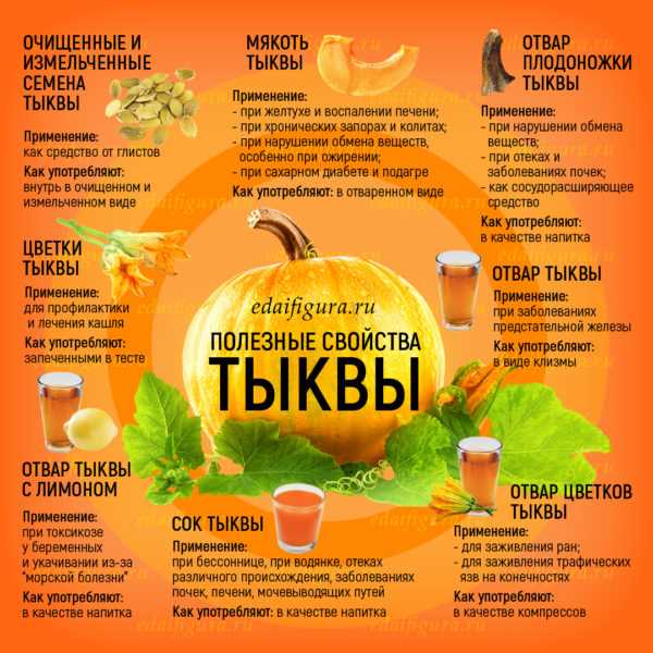 Какова польза от тыквы?