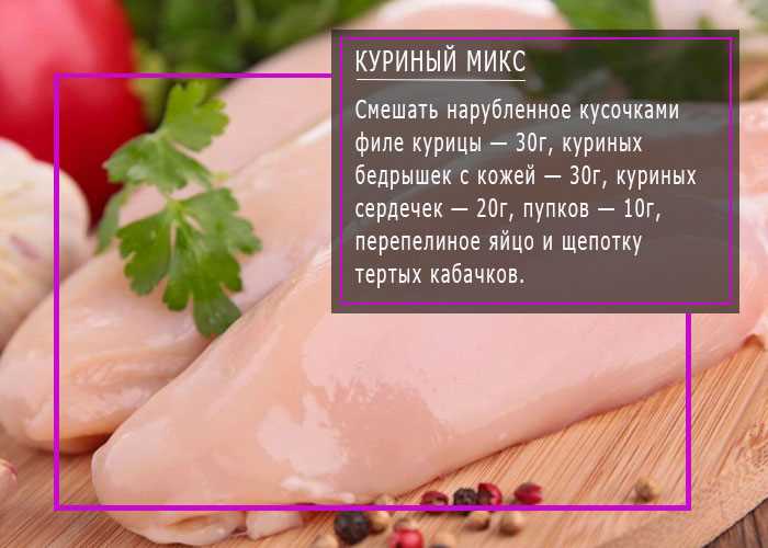 Содержание мяса в каше для здоровья шотландского котенка