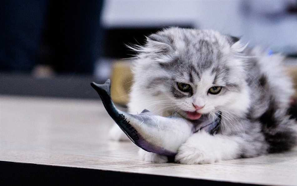 Как правильно готовить рыбу для кошек?