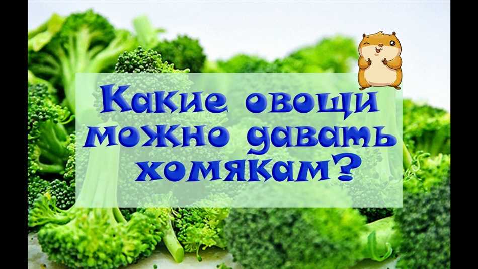 Можно ли бенгальским хомякам капусту?