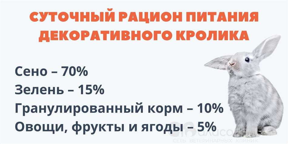 Как правильно включать петрушку в рацион кролика?