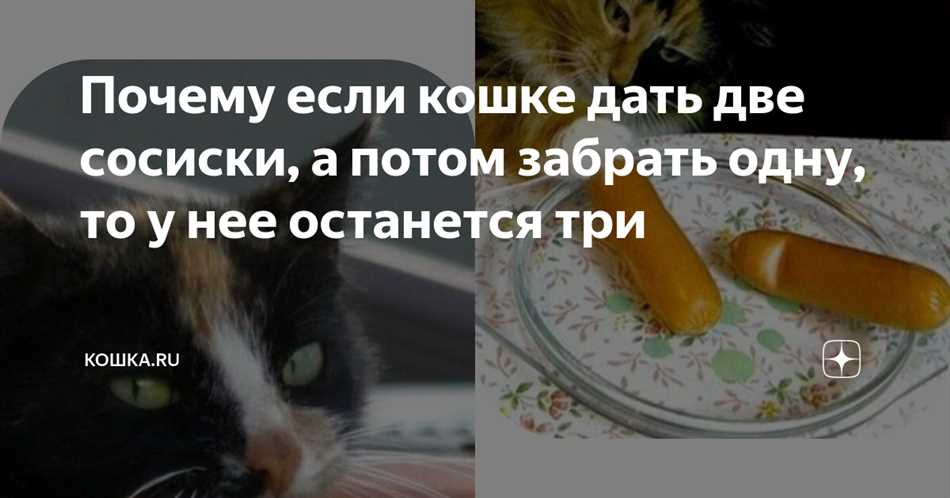 Как правильно давать кожуру от сосиски кошке?