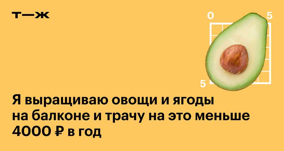 Можно ли давать кроликам редиску и ее ботву?