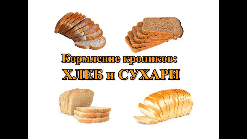 Неподходящие продукты для кроликов