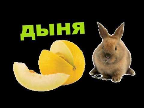 Раздел 2.1: Потенциальные риски