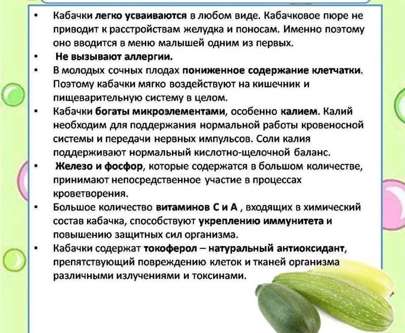 Преимущества кабачков