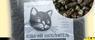 Можно ли использовать кошачий наполнитель для хомяков?