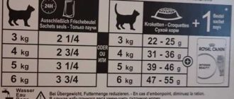 Можно ли кормить кошку сухим кормом одной марки, а влажным другой?