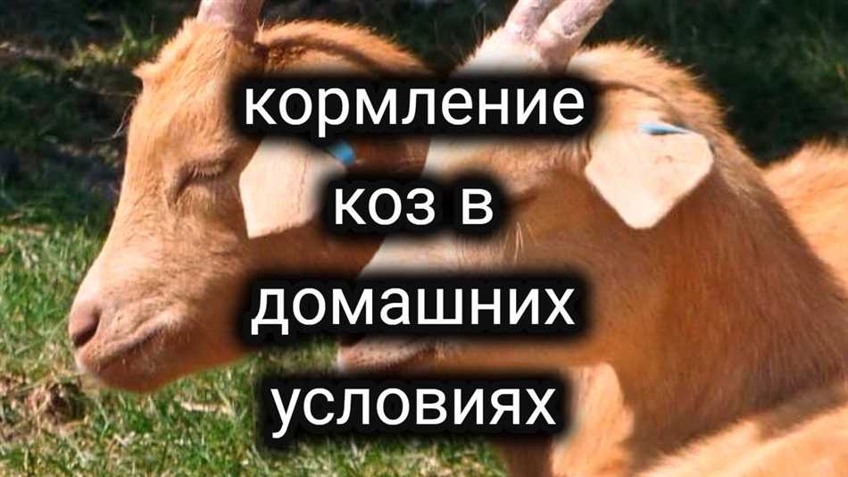 Богатый источник питательных веществ