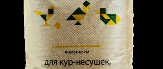 Можно ли кормить кур сухим комбикормом? - Лучшие рекомендации для кормления кур