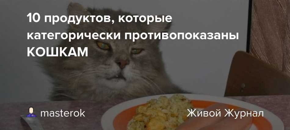 Можно ли кошкам докторскую колбасу?