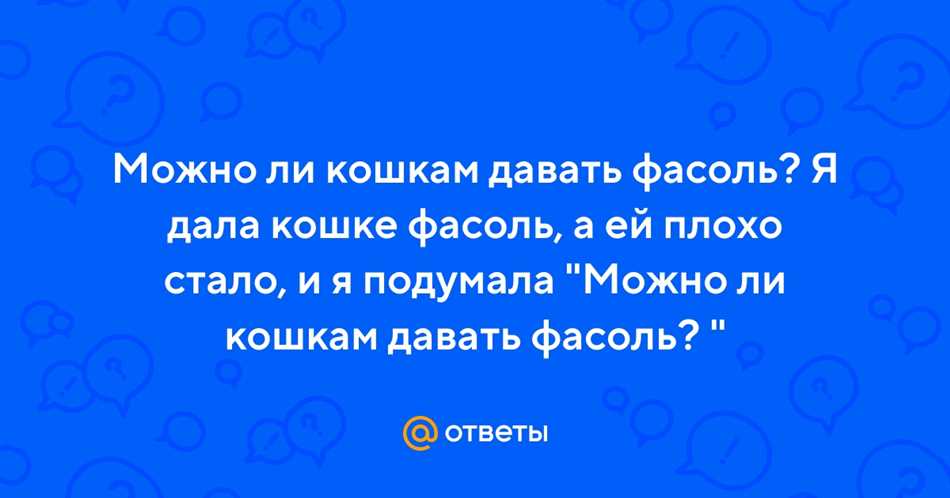 Почему важно знать, что можно давать кошкам?