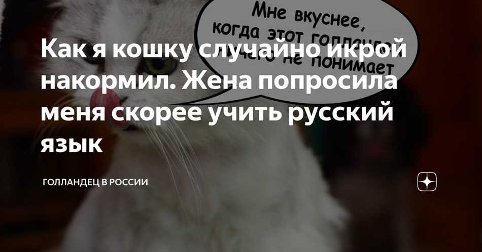 Питательные вещества для кошек