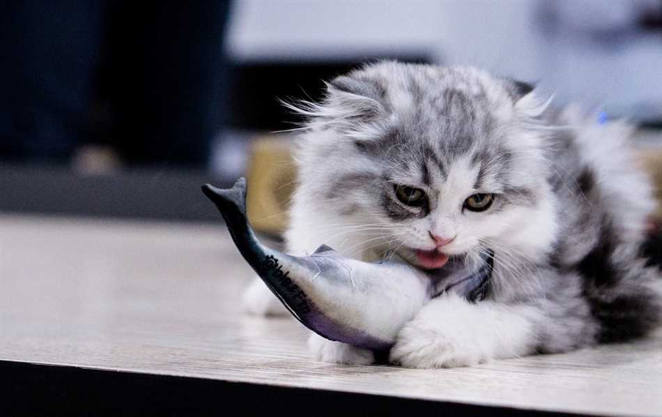 Можно ли кошкам лосось?