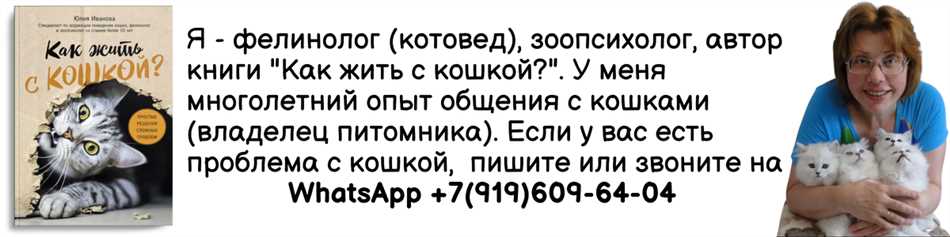 Раздел 4: Потенциальные пользы сырых креветок для котов