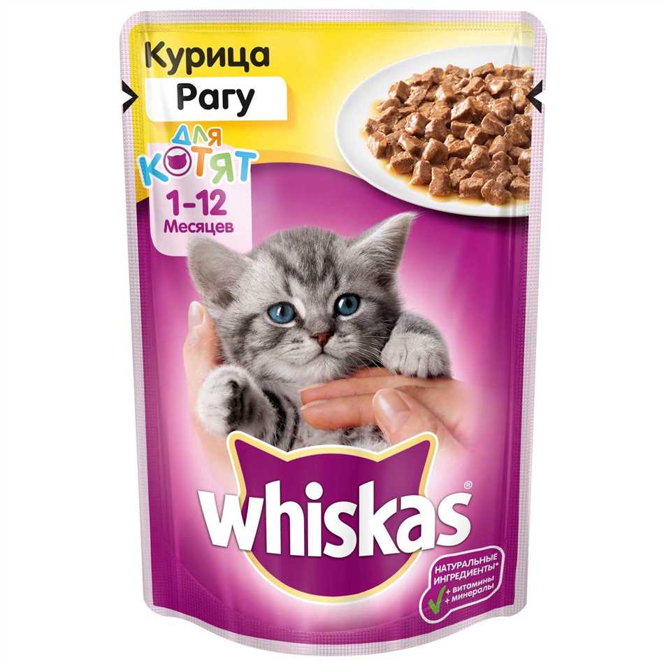 Можно ли котятам давать жидкий корм?