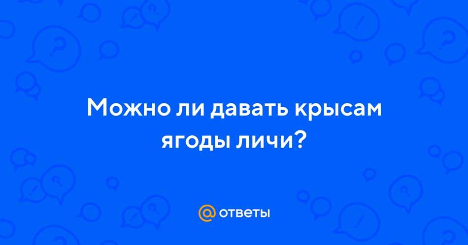 Можно ли крысам личи?