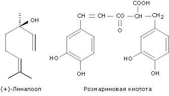 Подзаголовок 1.2