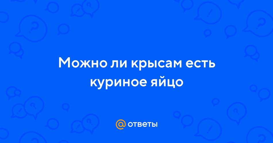 Омлет: состав и питательность