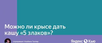 Можно ли крысам овсянку заваривать? | Ответы и советы от экспертов | Название сайта