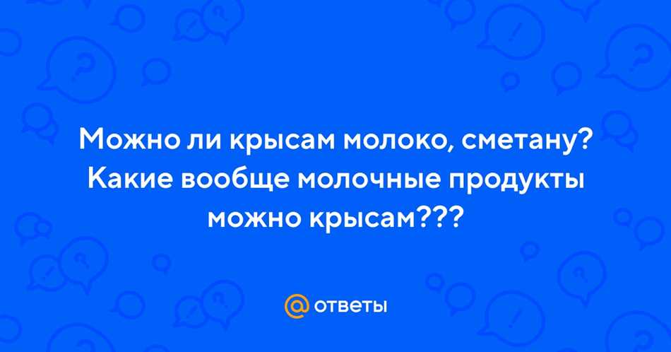 Можно ли крысам сметану?