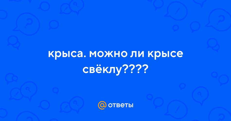 Можно ли крысам свеклу сырую?