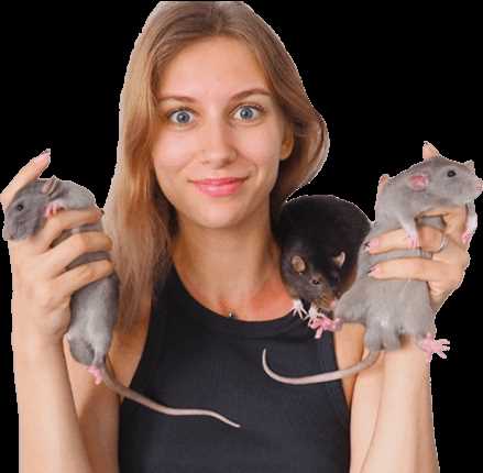 Потенциальные побочные эффекты от потребления желтка крысами