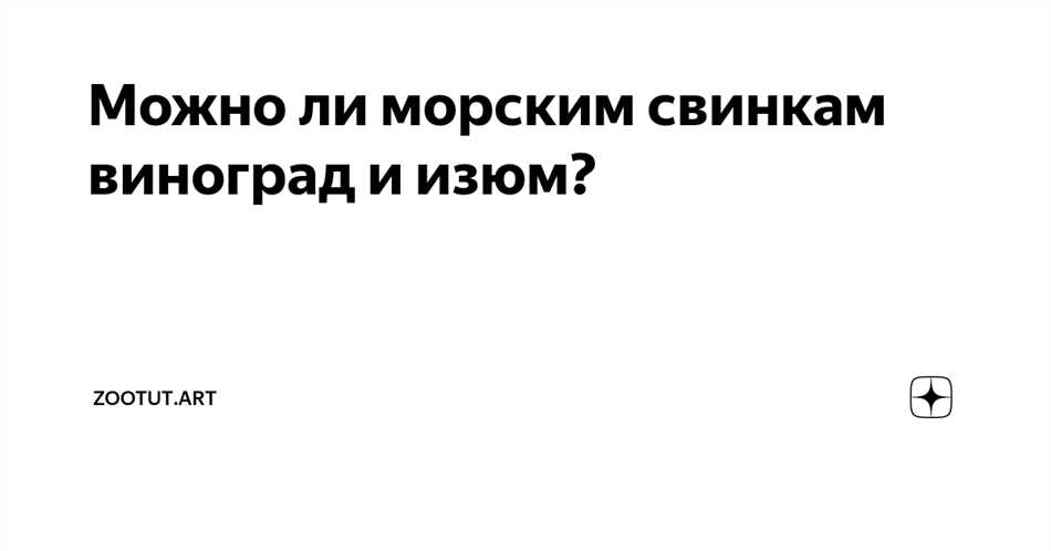 Рекомендации ветеринаров по питанию морских свинок