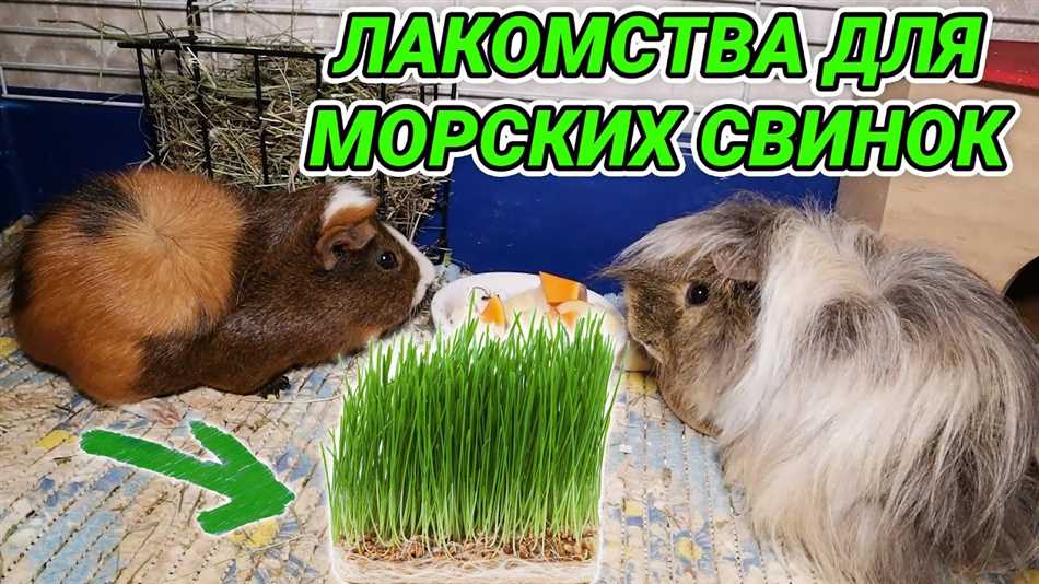 5. Наследственные факторы: