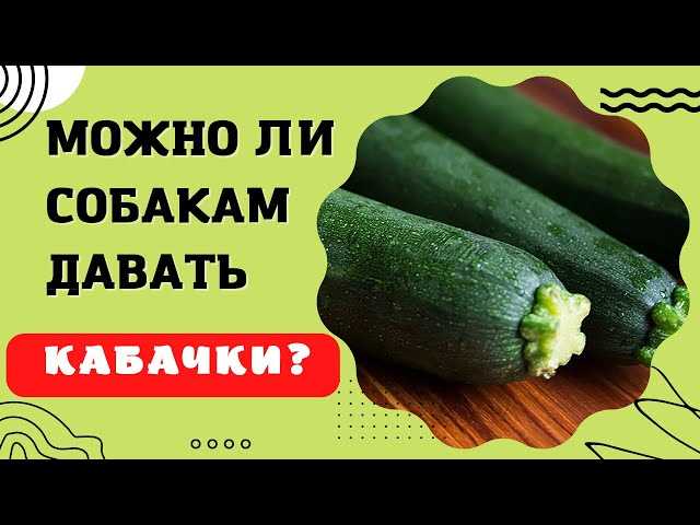 Можно ли собаке цукини?