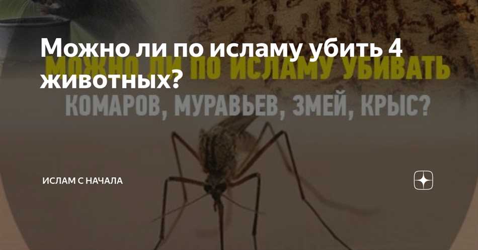 Можно ли убивать животных по исламу?