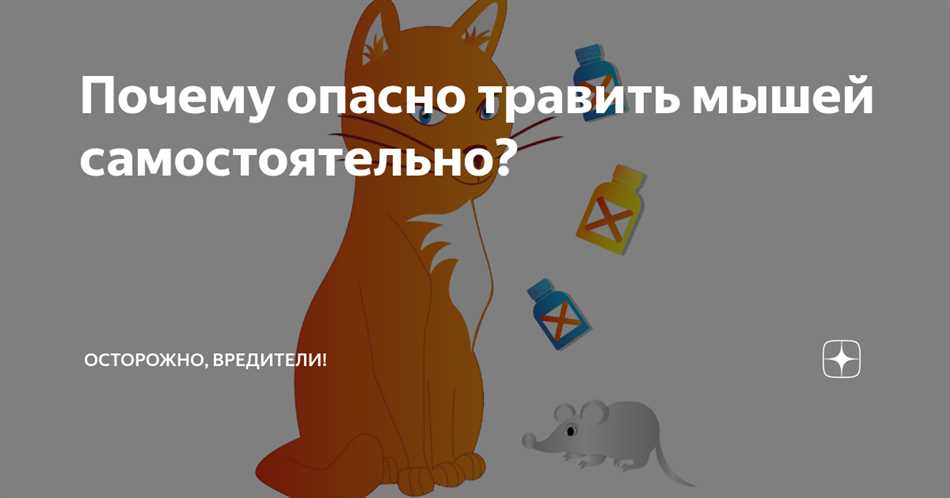 Опасен ли мышиный яд для человека?