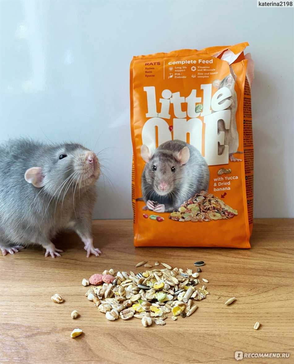 Значение социальной иерархии у лонг крыс и его воздействие на кормление крысят