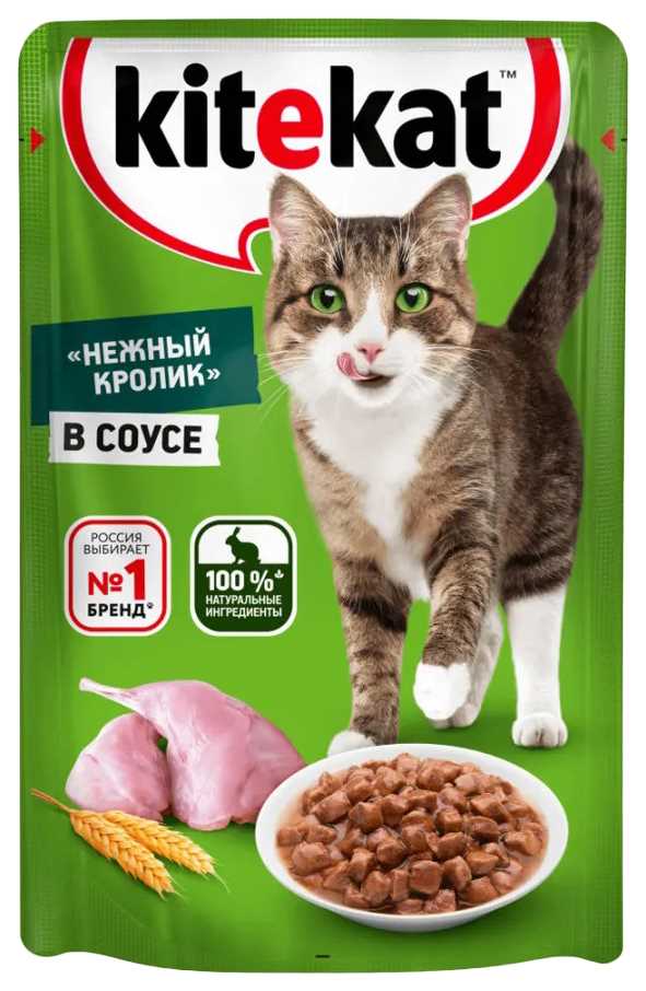 Полезны ли для котенка корма фирмы китикет?