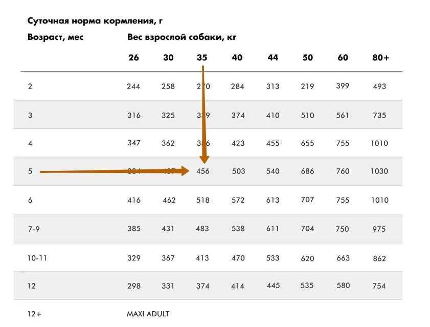 Сколько давать сухого корма собаке в день по весу таблица?