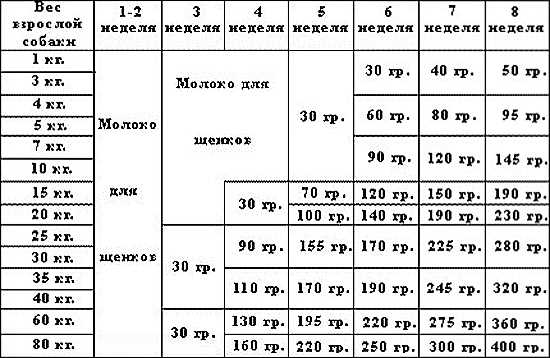 Влияние веса на дозировку корма