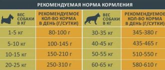 Сколько грамм овощей нужно собаке в сутки: рекомендации и правила