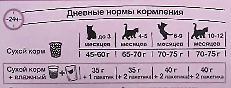 Здоровье кота