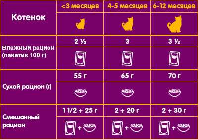  Количество корма в 2 месяца для котенка 