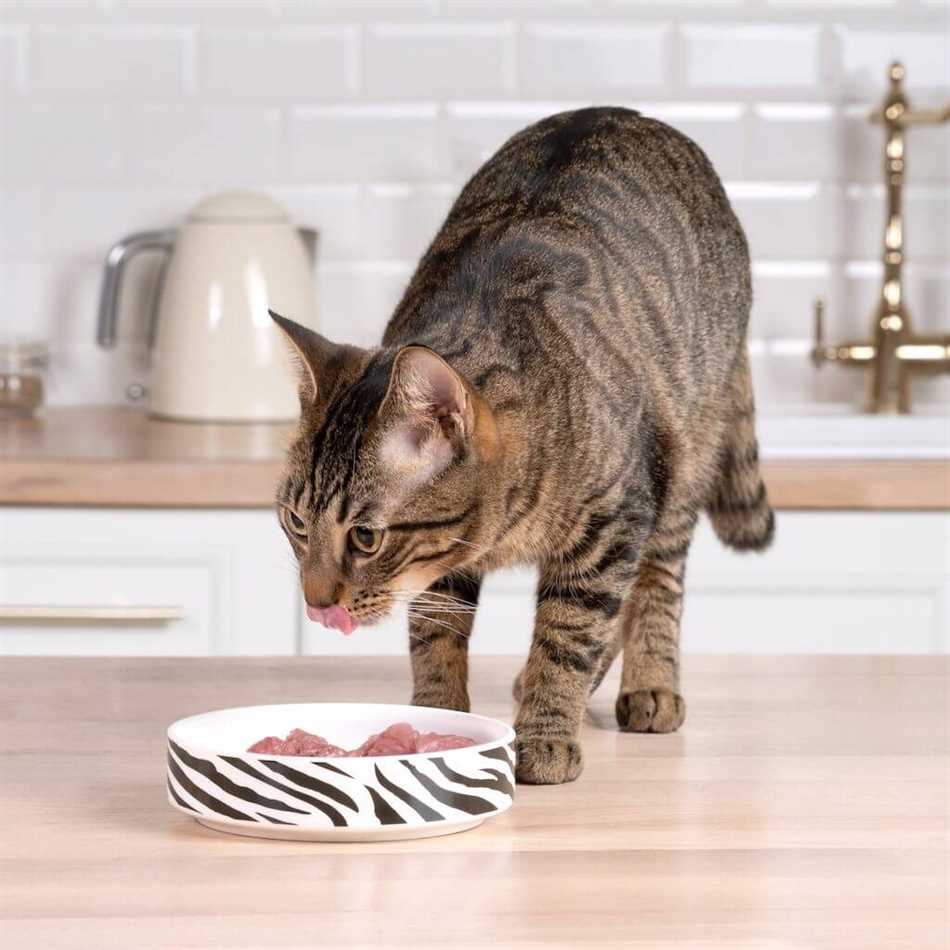 Сколько нужно кормить кастрированную кошку?