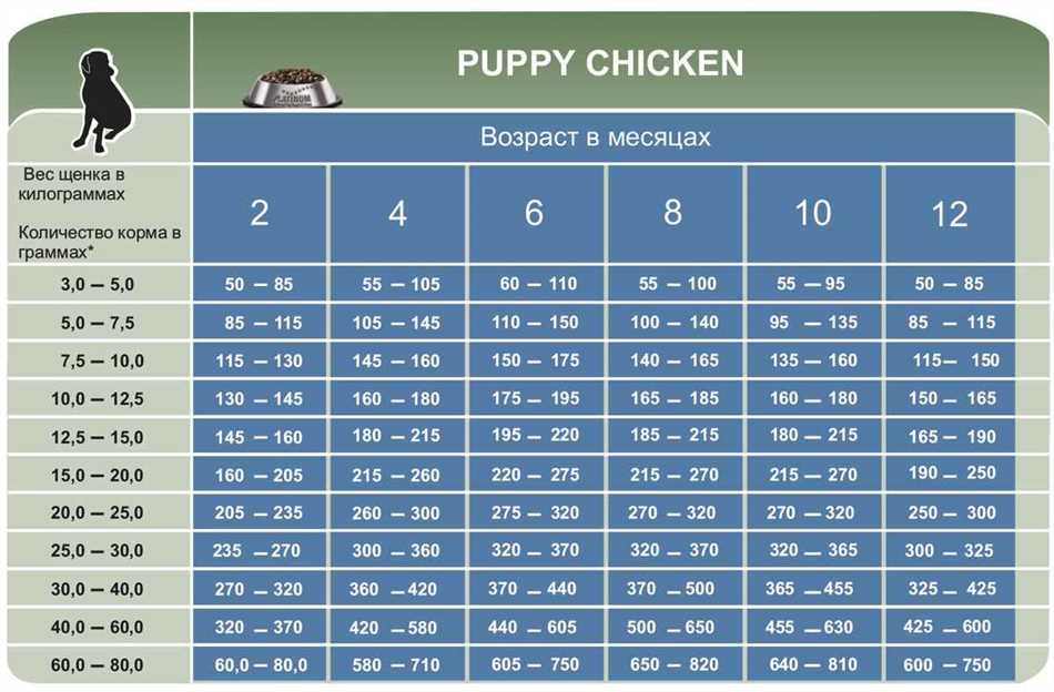 2. Следите за физическим состоянием питомца