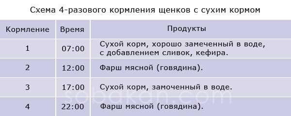 Какое количество сухого корма давать щенку в 8 месяцев в день?