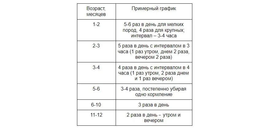 Частота кормления щенка