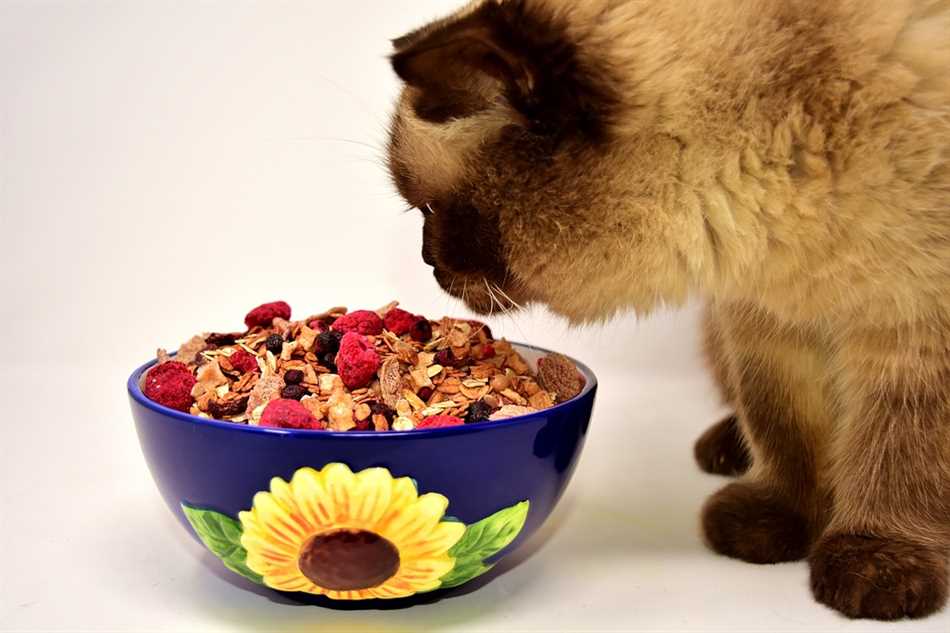 Как кастрация влияет на потребность кота в пище?