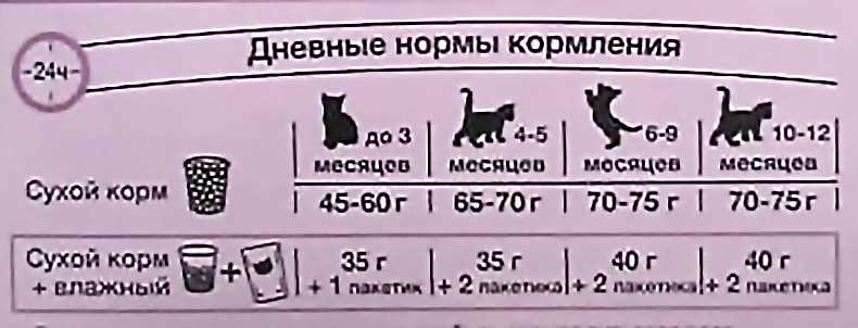 Сколько в день должен съедать сухой корм котенок в 1 5 месяца?