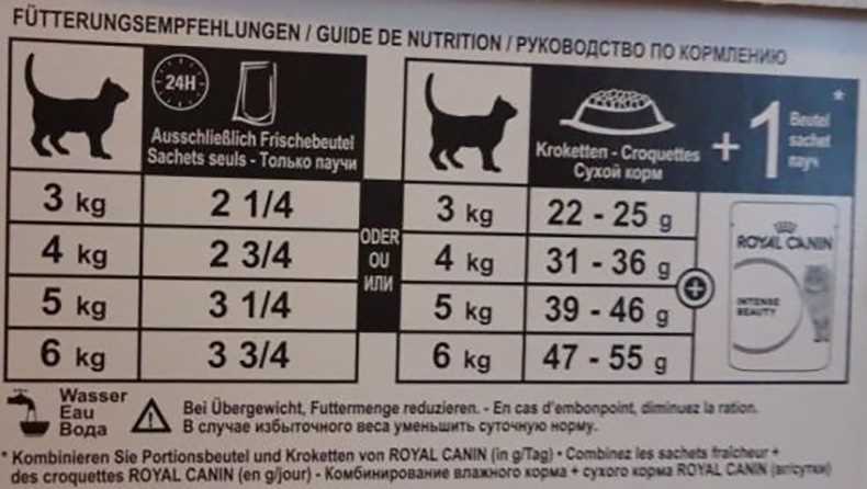 Количество корма в день для кошки