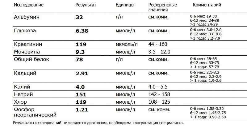 Сколько в среднем живут коты с поликистозом почек?